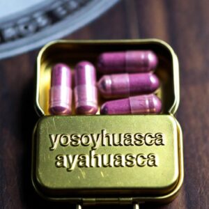 1 macrodosis de Ayahuasca YoSoYhuasca