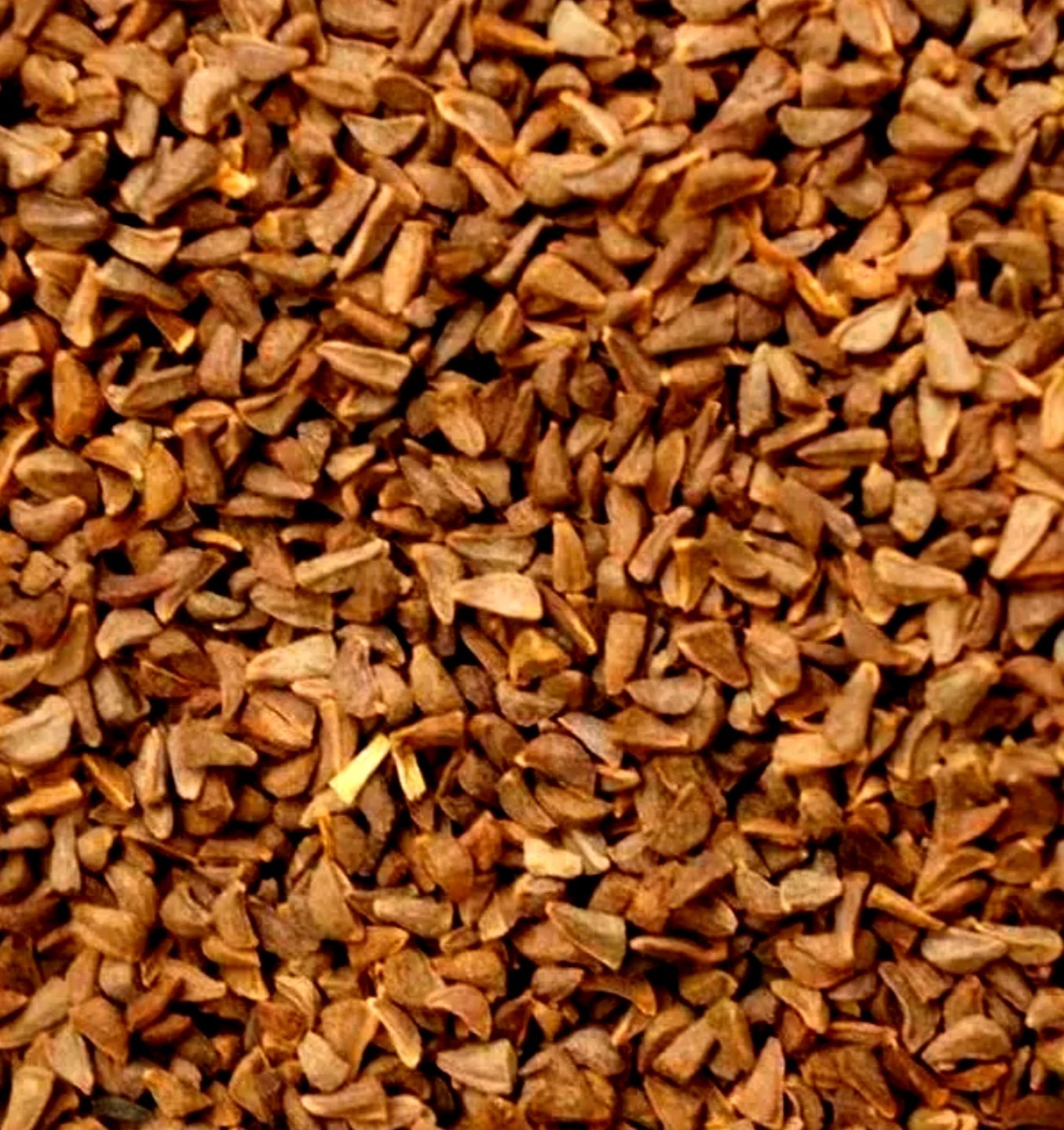 Ruda de Siria 1 Ruda de Siria