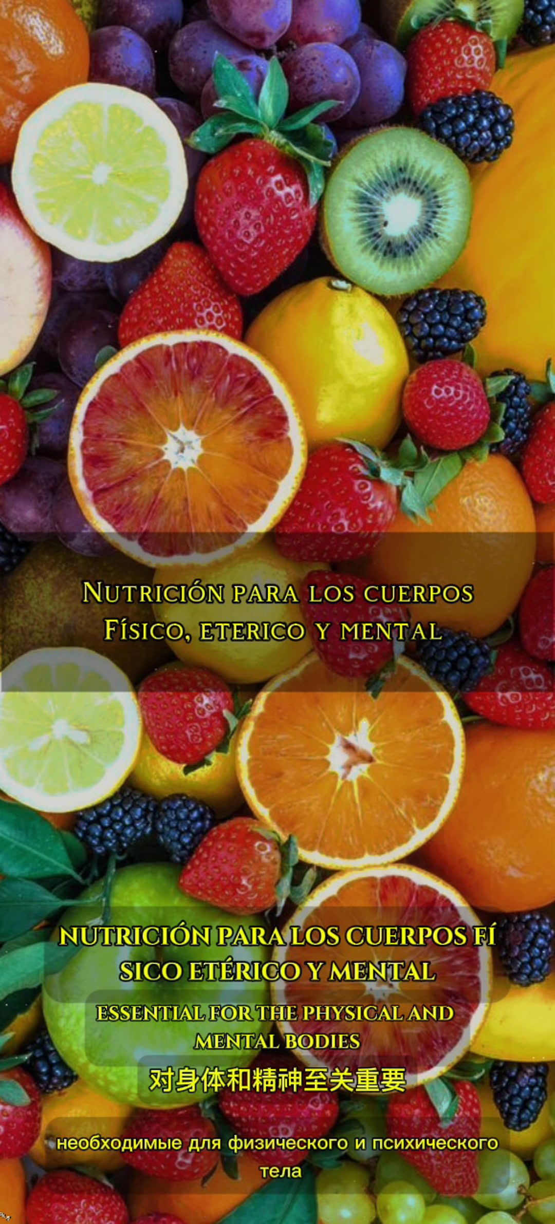 Nutrición para los cuerpos... EXTENDIDO. 2 Nutrición para los cuerpos… EXTENDIDO. | YoSoYhuasca