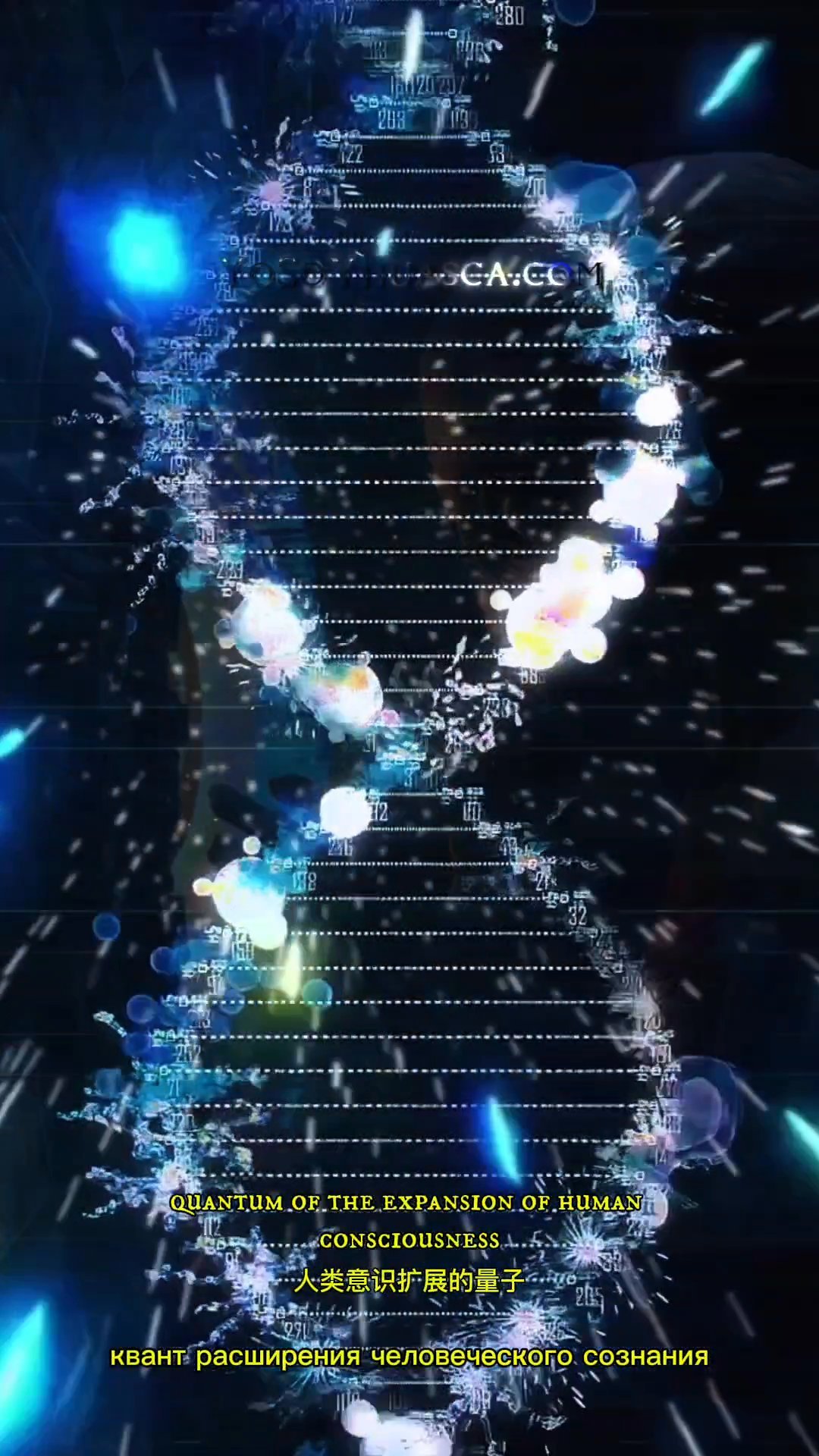 DMT el horizonte cuántico... 2 DMT el horizonte cuántico… | YoSoYhuasca