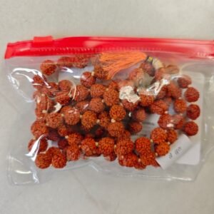Rudraksh 5 Mukhis – YoSoYhuasca 2