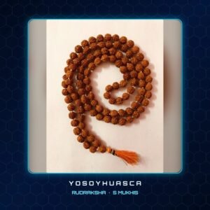 Mala de Rudraksha 5 Mukhis – YoSoYhuasca
